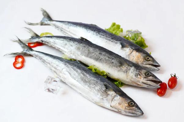 鲅魚(yú)會(huì)引起過(guò)敏嗎 吃鲅魚(yú)過(guò)敏的癥狀是什么 鲅魚(yú)會(huì)引起過(guò)敏嗎 吃鲅魚(yú)過(guò)敏的癥狀是什么