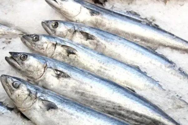 鲅魚(yú)孕婦可以吃嗎 鲅魚(yú)的蛋白質(zhì)含量是多少 鲅魚(yú)孕婦可以吃嗎 鲅魚(yú)的蛋白質(zhì)含量是多少