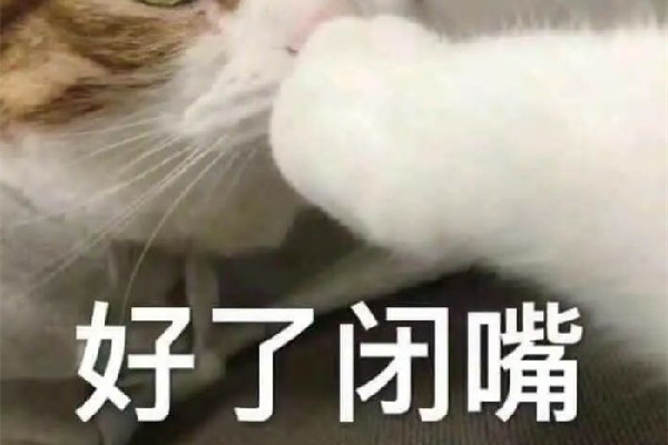 小六子是什么梗 網(wǎng)絡(luò)用語中央開空調(diào)是什么意思 小六子是什么梗 網(wǎng)絡(luò)用語中央開空調(diào)是什么意思