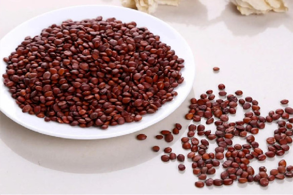 酸棗仁怎樣吃治療睡眠最有效 酸棗仁吃多久會改善睡眠 酸棗仁怎樣吃治療睡眠最有效 酸棗仁吃多久會改善睡眠