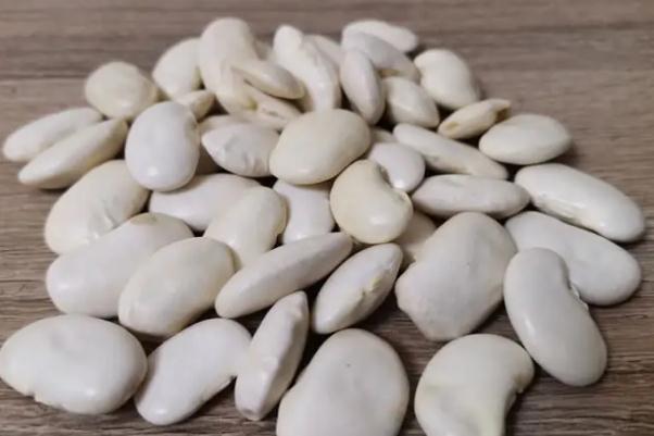 白蕓豆真的能減肥嗎 白蕓豆的功效與禁忌 白蕓豆真的能減肥嗎 白蕓豆的功效與禁忌