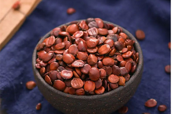 酸棗仁的功效和作用 酸棗仁對睡眠有用嗎 酸棗仁的功效和作用 酸棗仁對睡眠有用嗎