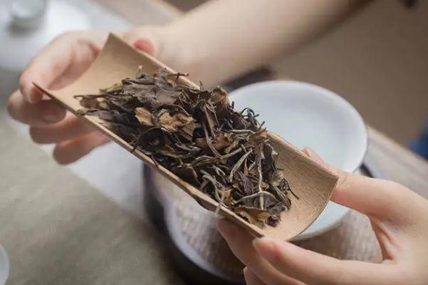 老白茶孕婦可以喝嗎 老白茶的味道和口感 老白茶孕婦可以喝嗎 老白茶的味道和口感