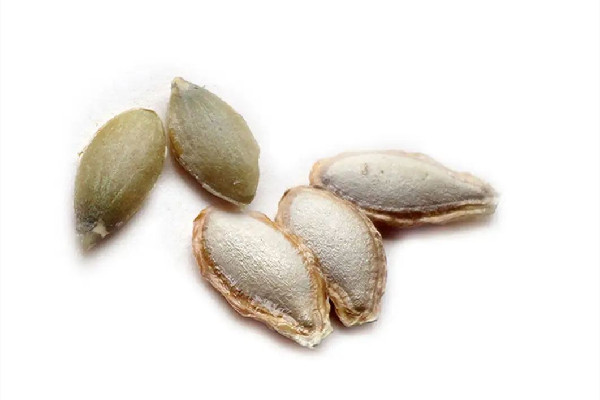 南瓜子可以連殼吃嗎 南瓜子要不要?jiǎng)儦? alt=