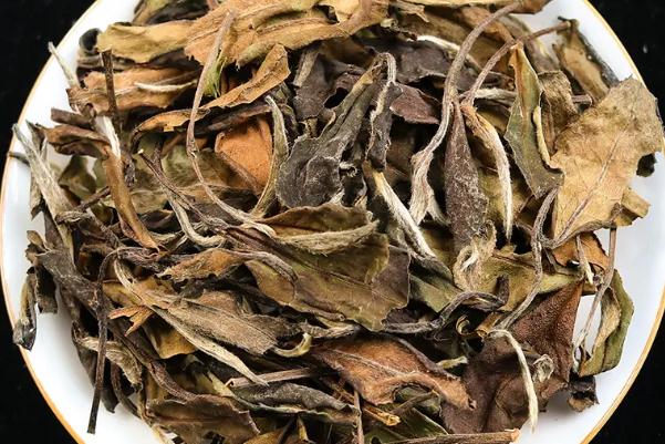 老白茶的正確沖泡方法 老白茶是哪種茶 老白茶的正確沖泡方法 老白茶是哪種茶