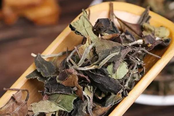 老白茶有保質期嗎 老白茶有減肥功效嗎