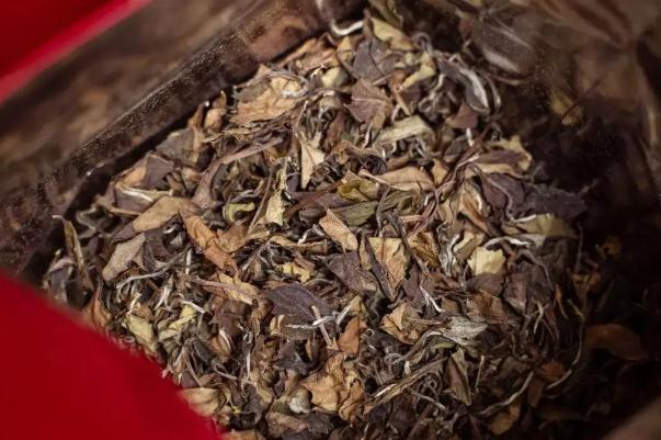 老白茶對咳嗽有功效嗎 老白茶對血糖有好處嗎 老白茶對咳嗽有功效嗎 老白茶對血糖有好處嗎