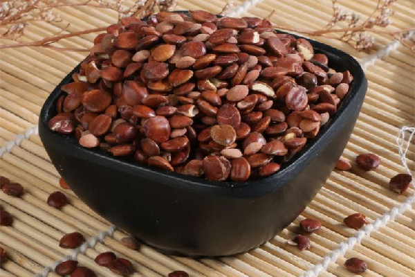 酸棗仁的功效和作用 酸棗仁對睡眠有用嗎 酸棗仁的功效和作用 酸棗仁對睡眠有用嗎