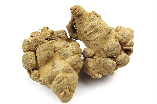 三七是什么樣子的 三七和田七是一樣的嗎 三七是什么樣子的 三七和田七是一樣的嗎