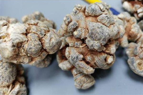 三七買粉還是買整個(gè)好 三七怎么挑選啥樣的為最好 三七買粉還是買整個(gè)好 三七怎么挑選啥樣的為最好