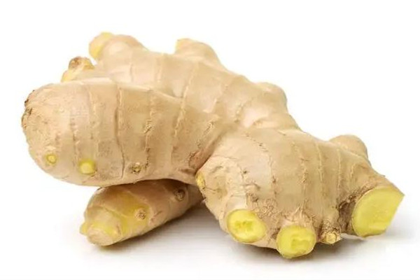 夏季吃姜從什么時(shí)候開(kāi)始 夏季吃姜的功效與作用 夏季吃姜從什么時(shí)候開(kāi)始 夏季吃姜的功效與作用