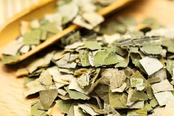 荷葉的功效和作用 荷葉對身體有害嗎 荷葉的功效和作用 荷葉對身體有害嗎