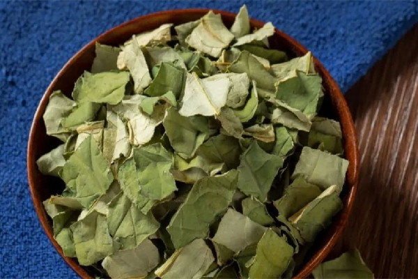 干荷葉和新鮮荷葉哪個效果好 干荷葉多少錢一斤