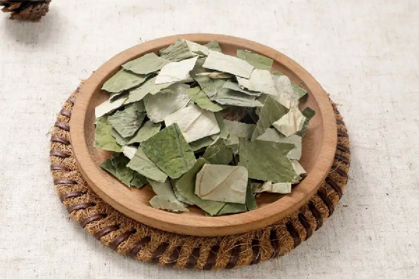 荷葉的功效和作用 荷葉對身體有害嗎 荷葉的功效和作用 荷葉對身體有害嗎