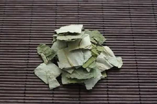 干荷葉會不會發(fā)霉 干荷葉發(fā)霉了洗凈曬干還能用嗎 干荷葉會不會發(fā)霉 干荷葉發(fā)霉了洗凈曬干還能用嗎