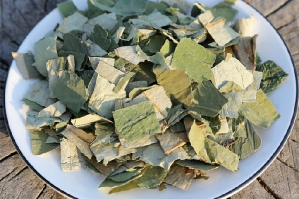 干荷葉泡水喝會拉肚子嗎 干荷葉泡水對導致胃不舒服嗎 干荷葉泡水喝會拉肚子嗎 干荷葉泡水對導致胃不舒服嗎