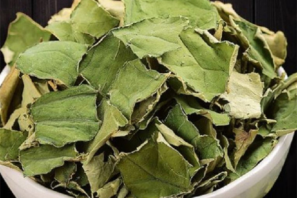 荷葉的功效和作用 荷葉對身體有害嗎 荷葉的功效和作用 荷葉對身體有害嗎