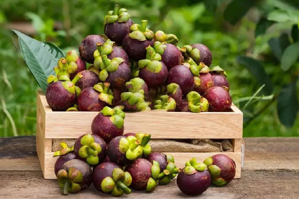 山竹弄到衣服上洗不掉怎么辦 山竹怎么吃怎么剝皮 山竹弄到衣服上洗不掉怎么辦 山竹怎么吃怎么剝皮