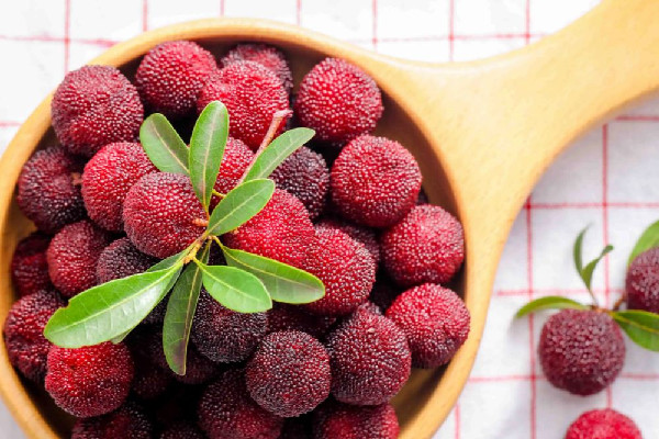 楊梅的功效和作用 楊梅可以做成哪些美食 楊梅的功效和作用 楊梅可以做成哪些美食