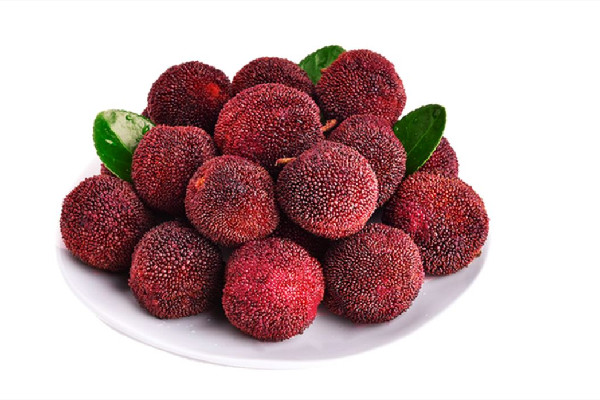 楊梅不洗能直接吃嗎 楊梅直接吃會(huì)怎樣 楊梅不洗能直接吃嗎 楊梅直接吃會(huì)怎樣