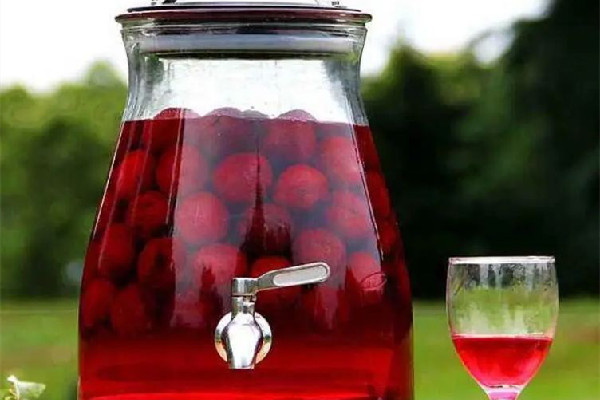 楊梅酒越久越好喝嗎 楊梅酒泡出來蟲子還能喝嗎 楊梅酒越久越好喝嗎 楊梅酒泡出來蟲子還能喝嗎