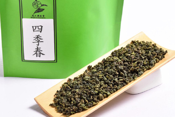 四季春茶有茶多酚嗎 四季春茶有助于減肥嗎 四季春茶有茶多酚嗎 四季春茶有助于減肥嗎