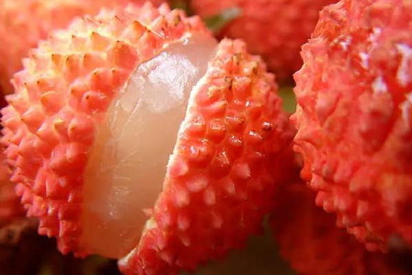 荔枝買(mǎi)紅的還是買(mǎi)綠的 荔枝買(mǎi)回來(lái)是青的怎么辦 荔枝買(mǎi)紅的還是買(mǎi)綠的 荔枝買(mǎi)回來(lái)是青的怎么辦