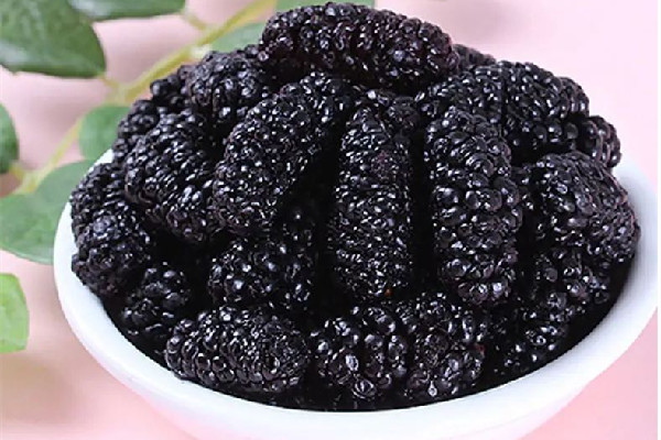 桑葚干泡酒的功效與作用 桑葚干泡酒可以泡幾次 桑葚干泡酒的功效與作用 桑葚干泡酒可以泡幾次