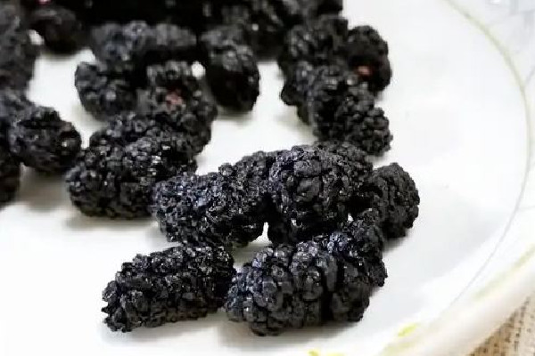 桑葚干直接吃好還是泡水好 桑葚干直接吃有營(yíng)養(yǎng)嗎