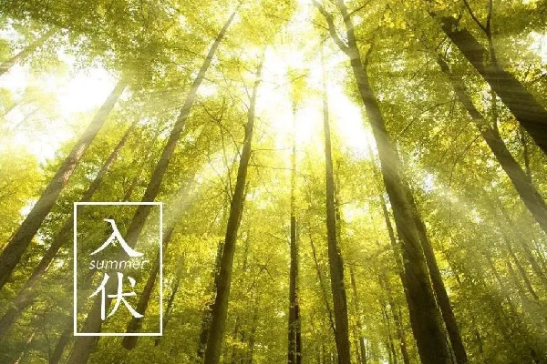 入伏會(huì)影響睡眠嗎 入伏犯困是由什么原因造成的