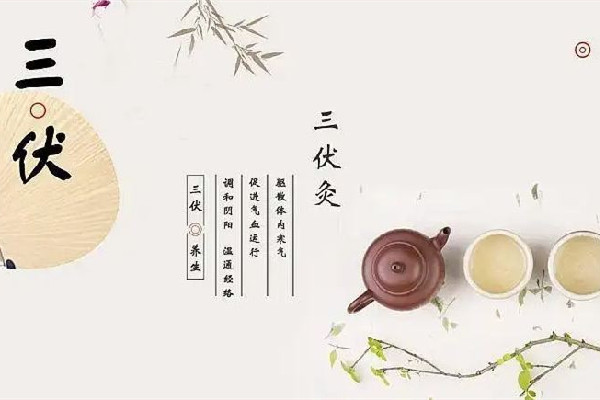 三伏灸灸哪些部位 三伏灸的好處與功效有哪些 三伏灸灸哪些部位 三伏灸的好處與功效有哪些