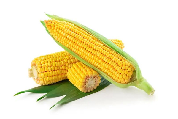 甜玉米煮著吃還是蒸著好吃 甜玉米要做蒸多久才熟 甜玉米煮著吃還是蒸著好吃 甜玉米要做蒸多久才熟