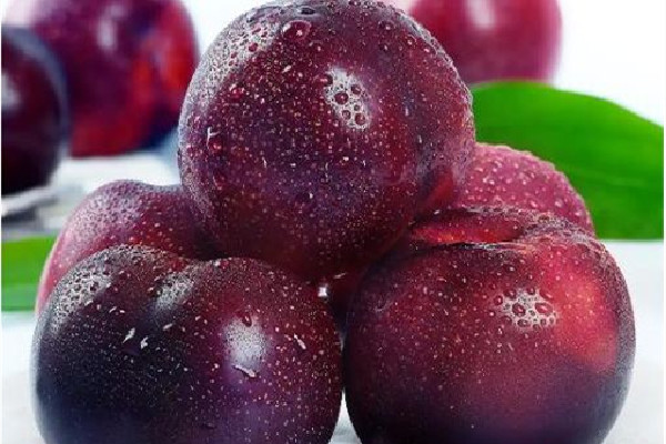 黑布林的營(yíng)養(yǎng)價(jià)值和功效 黑布林可以促進(jìn)排便嗎 黑布林的營(yíng)養(yǎng)價(jià)值和功效 黑布林可以促進(jìn)排便嗎