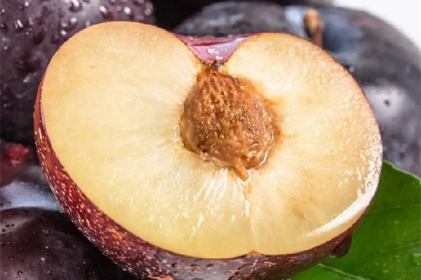 黑布林吃軟的還是吃硬的 黑布林硬的可以吃嗎 黑布林吃軟的還是吃硬的 黑布林硬的可以吃嗎