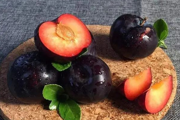 黑布林和紅布林哪個(gè)好吃 黑布林可以空腹吃嗎 黑布林和紅布林哪個(gè)好吃 黑布林可以空腹吃嗎