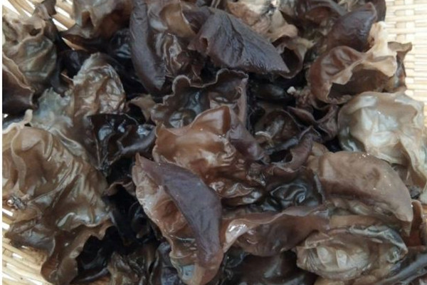 干木耳用熱水泡還是冷水泡 干木耳泡發(fā)的正確方法和時(shí)間 干木耳用熱水泡還是冷水泡 干木耳泡發(fā)的正確方法和時(shí)間