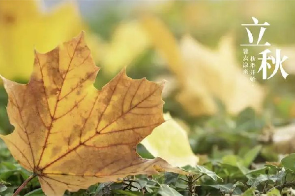 立秋是2022的幾月幾日幾點 立秋代表秋天的開始嗎 立秋是2022的幾月幾日幾點 立秋代表秋天的開始嗎