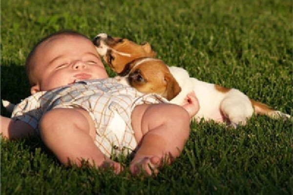 曬背可以去寒氣嗎 曬背去濕寒的最佳時(shí)間 曬背可以去寒氣嗎 曬背去濕寒的最佳時(shí)間