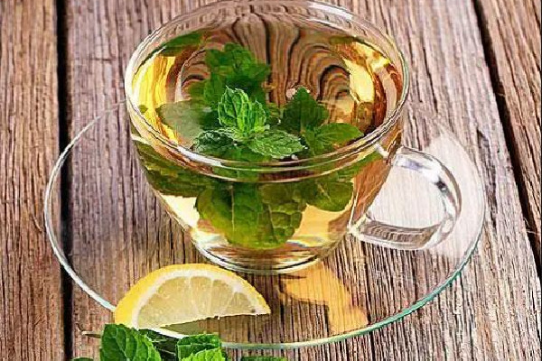 薄荷茶的功效和作用 薄荷茶可以降火嗎 薄荷茶的功效和作用 薄荷茶可以降火嗎