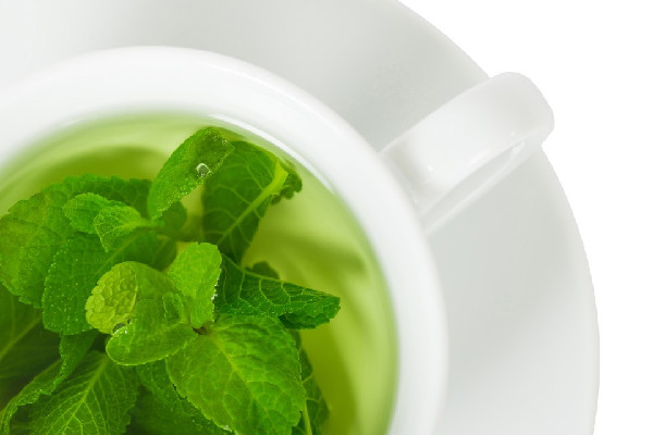 薄荷茶和什么搭配好 薄荷茶和菊花一起喝嗎 薄荷茶和什么搭配好 薄荷茶和菊花一起喝嗎