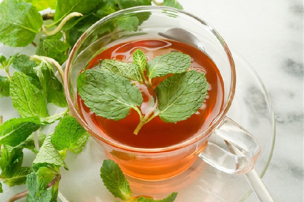 薄荷茶喝了會拉肚子嗎 薄荷茶可以過夜喝嗎 薄荷茶喝了會拉肚子嗎 薄荷茶可以過夜喝嗎