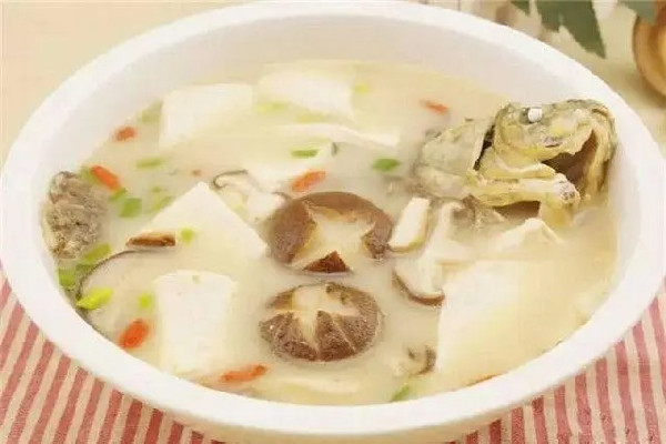 鯽魚湯和黑魚湯哪個更好 鯽魚湯可以天天喝嗎 鯽魚湯和黑魚湯哪個更好 鯽魚湯可以天天喝嗎