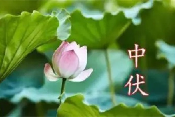 中伏會(huì)犯困嗎 中伏要怎么養(yǎng)生 中伏會(huì)犯困嗎 中伏要怎么養(yǎng)生