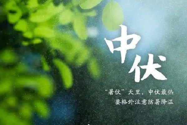 2022中伏為啥20天 2022中伏是幾月幾號 2022中伏為啥20天 2022中伏是幾月幾號