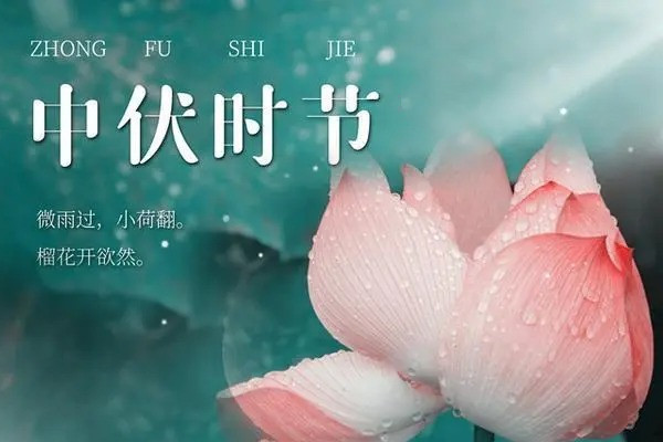 2022中伏為啥20天 2022中伏是幾月幾號 2022中伏為啥20天 2022中伏是幾月幾號