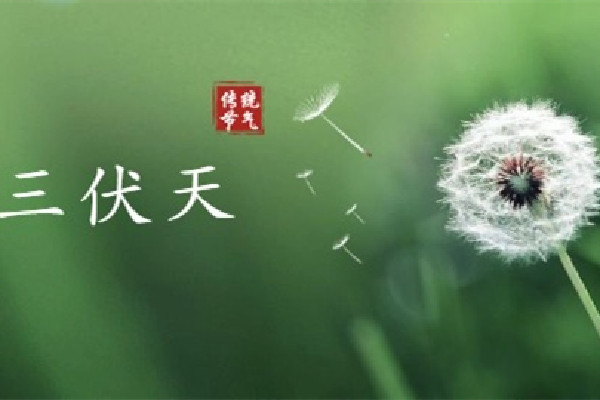 伏天有公伏和母伏之分嗎 伏天有什么說法 伏天有公伏和母伏之分嗎 伏天有什么說法