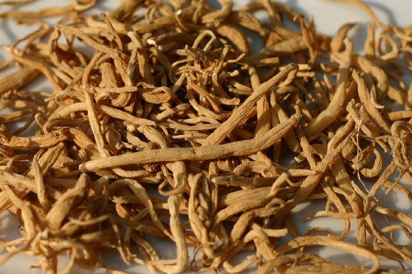 太子參要浸泡嗎 太子參怎么吃效果好 太子參要浸泡嗎 太子參怎么吃效果好