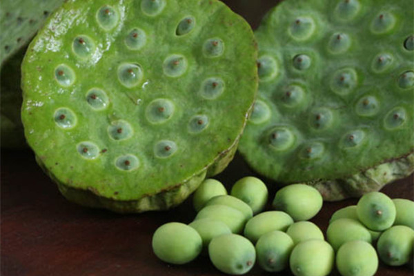 新鮮蓮子吃了會(huì)胖嗎 新鮮蓮子的熱量 新鮮蓮子吃了會(huì)胖嗎 新鮮蓮子的熱量