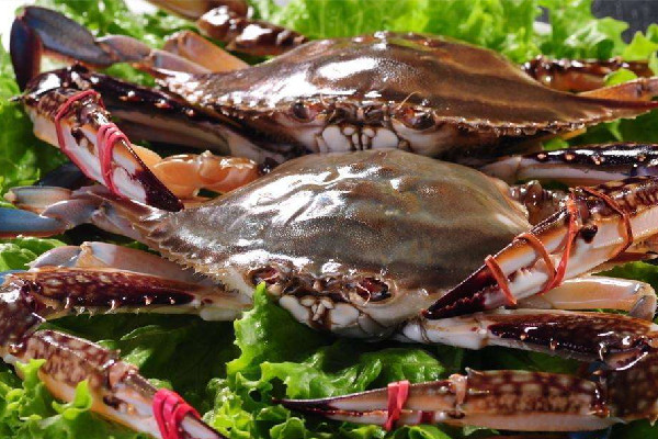 梭子蟹吃起來澀嘴什么原因 梭子蟹吃起來苦怎么回事 梭子蟹吃起來澀嘴什么原因 梭子蟹吃起來苦怎么回事