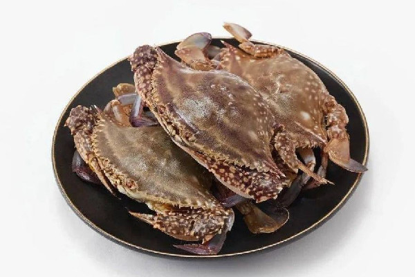 梭子蟹吃起來澀嘴什么原因 梭子蟹吃起來苦怎么回事 梭子蟹吃起來澀嘴什么原因 梭子蟹吃起來苦怎么回事